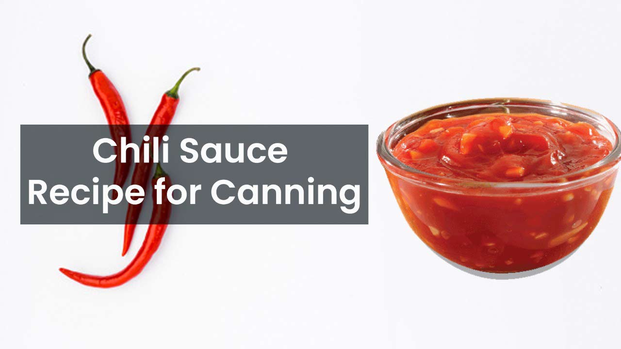 Make Homemade Chili Sauce Recipe for Canning Dining Decision